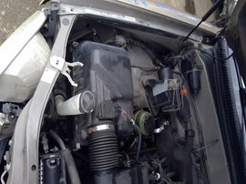 2002 TOYOTA TUNDRA, GOLD, SR5 MODEL, 4.7L, AT, 2WD.  Z25253